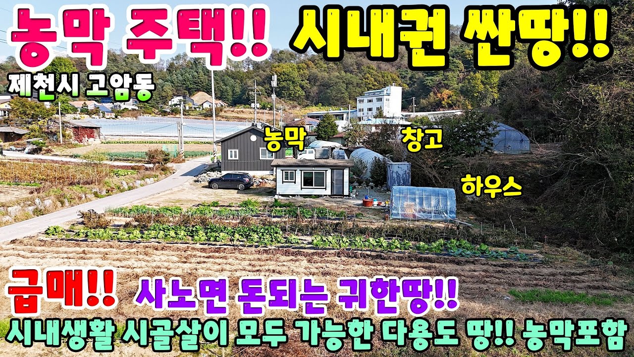 927. 농막주택 시내권 싼땅 제천시 고암동 반값매물 봉양읍 주택매매 단독주택매매 제천부동산 제천토지매매 제천전원주택매매 제천주택매매 시골집급매 촌집매매