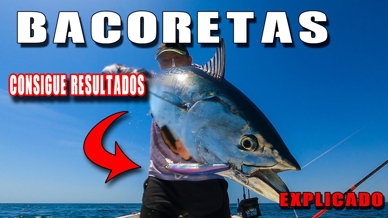 SEÑUELO MÁS EFECTIVO PESCA DE LA BACORETA