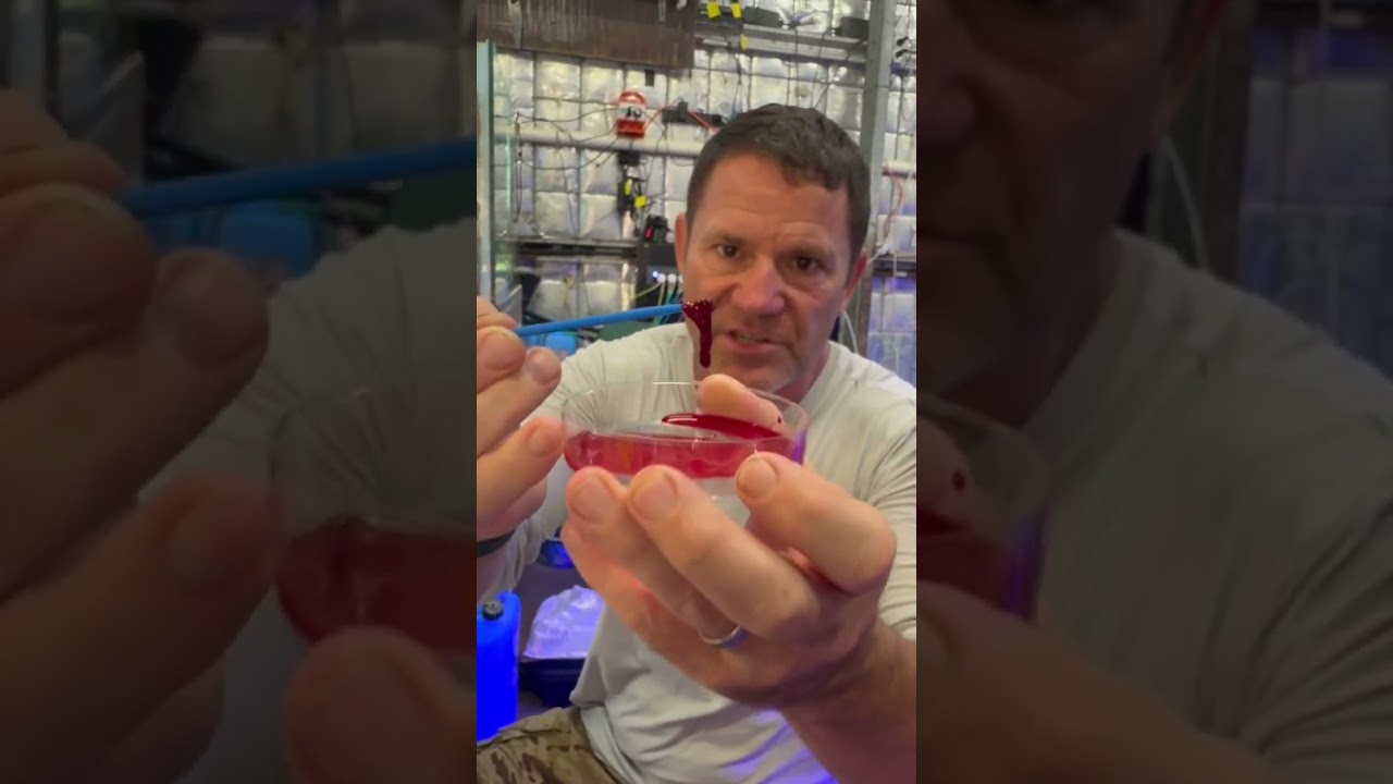 Blood vs brown snake venom equals&hellip;