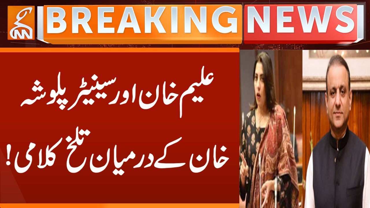 Bitter exchange between Aleem Khan and Senator Palwasha Khan! | Breaking News | GNN