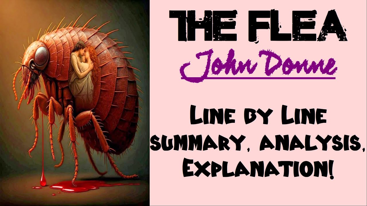 The Flea by John Donne | Summary, Analysis, Explanation
