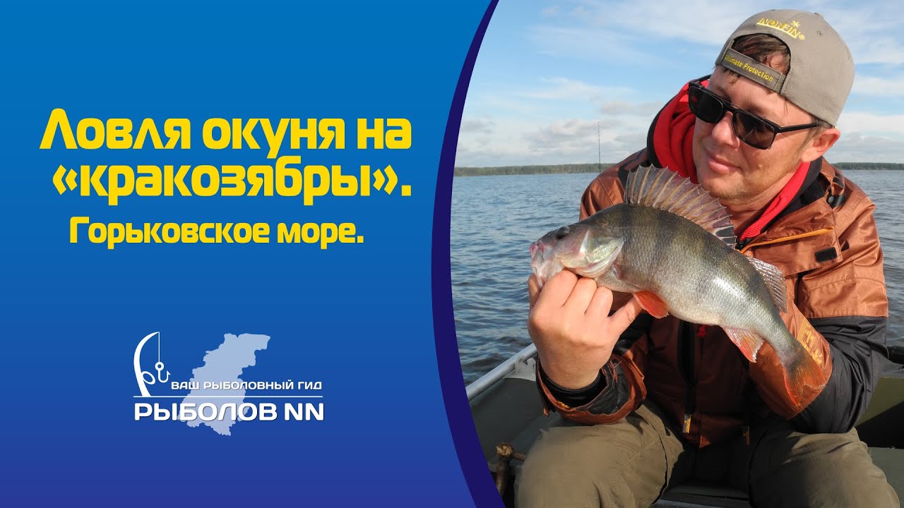 Ловля окуня на кракозябры. Горьковское водохранилище.