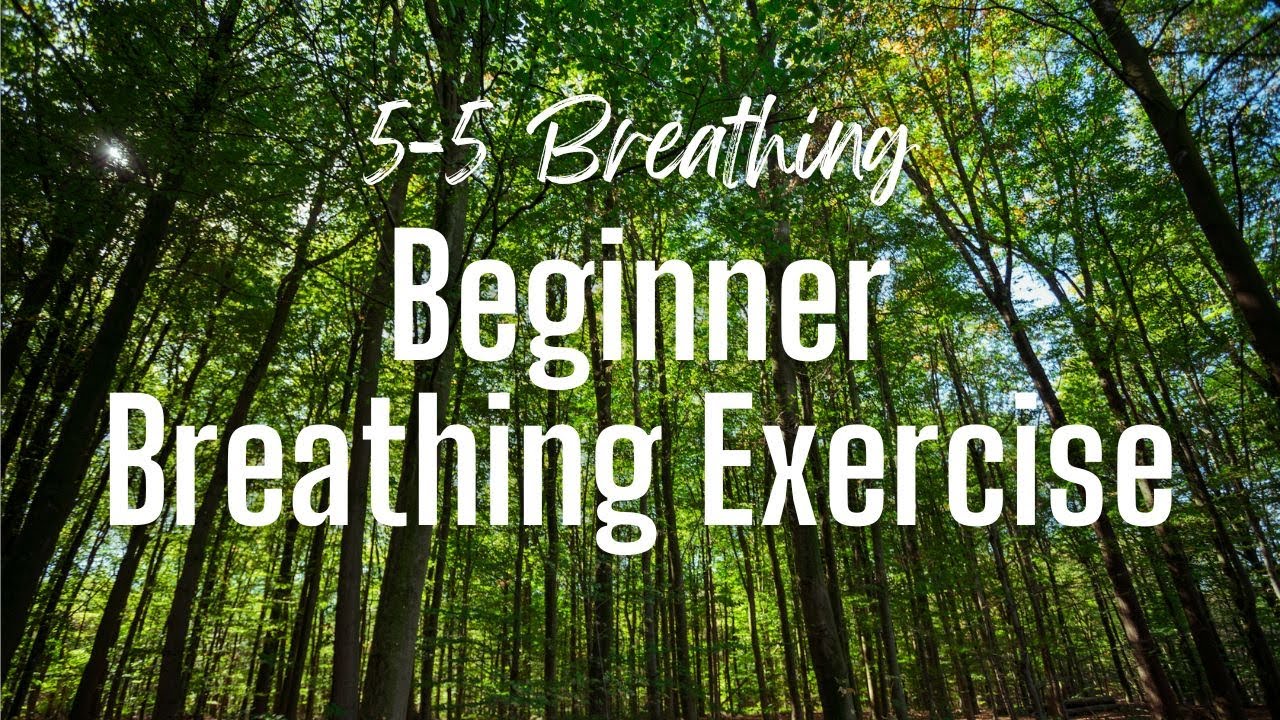 Beginner Meditation (no talking) 5-5 Breath Work with Forest Setting, 10 minutes