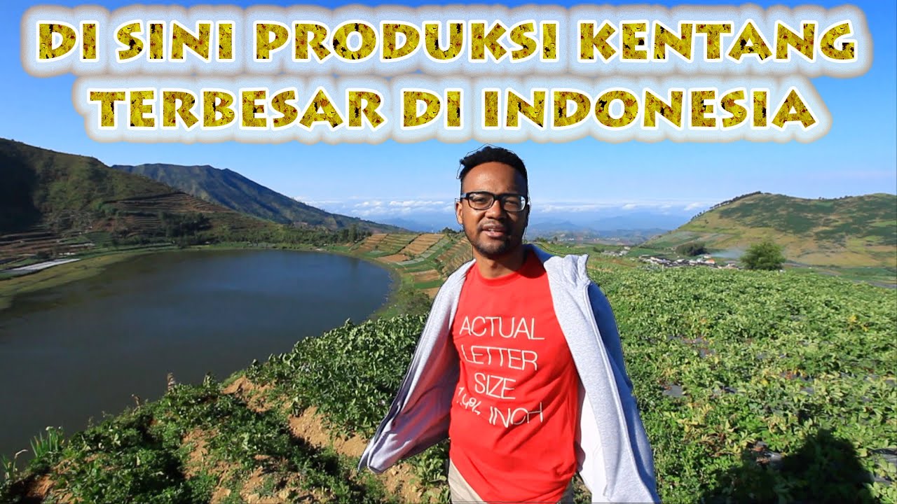 Di Sini Produksi Kentang Terbesar di Indonesia