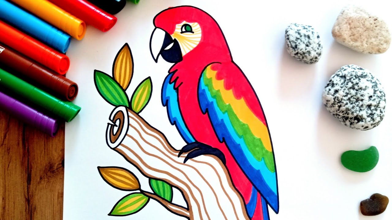 HOW TO DRAW a Parrot - Scarlet Macaw - easy drawing for kids - coloring with markers