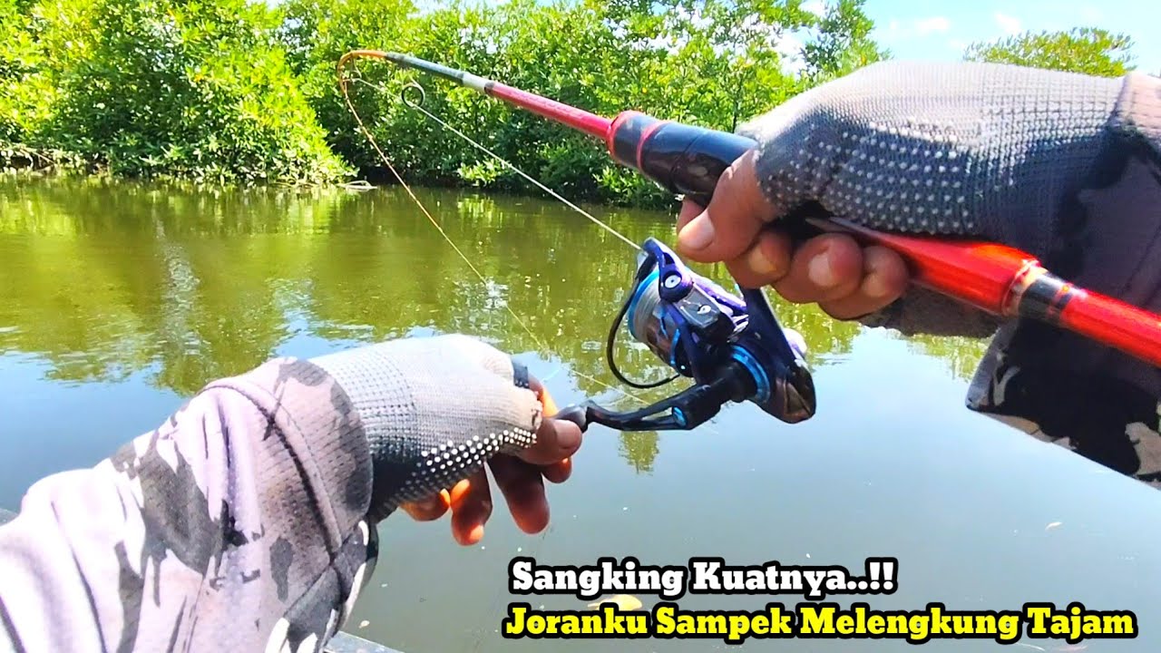 Gila Bener..!! Joranku Sampai Melengkung Tajam Menahan Tarikan Predator Muara Yang Satu Ini