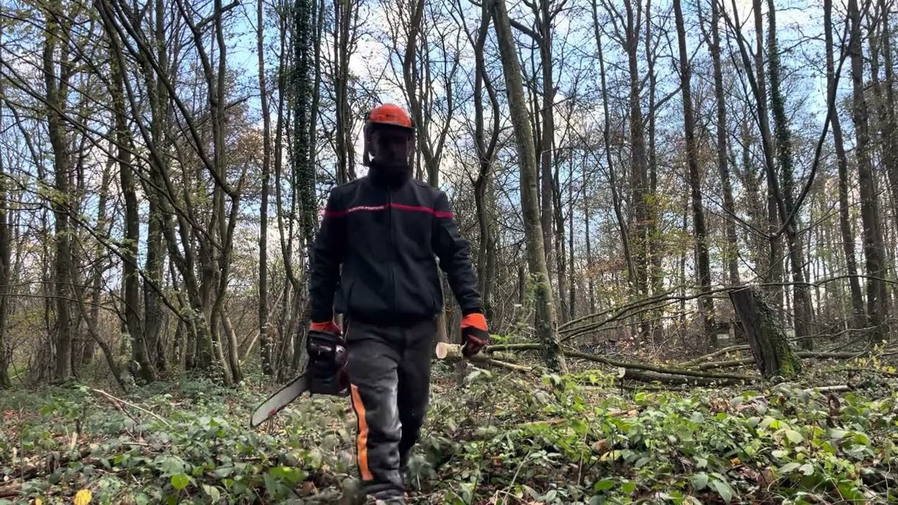 Affouage 2025/2026, on change de parcelle (bois de chauffage)
