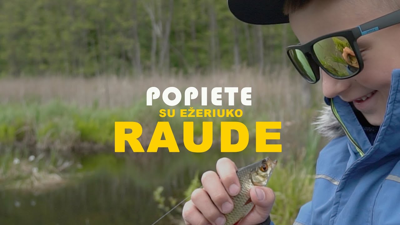 Raudės museline - dienora&scaron;tis #17