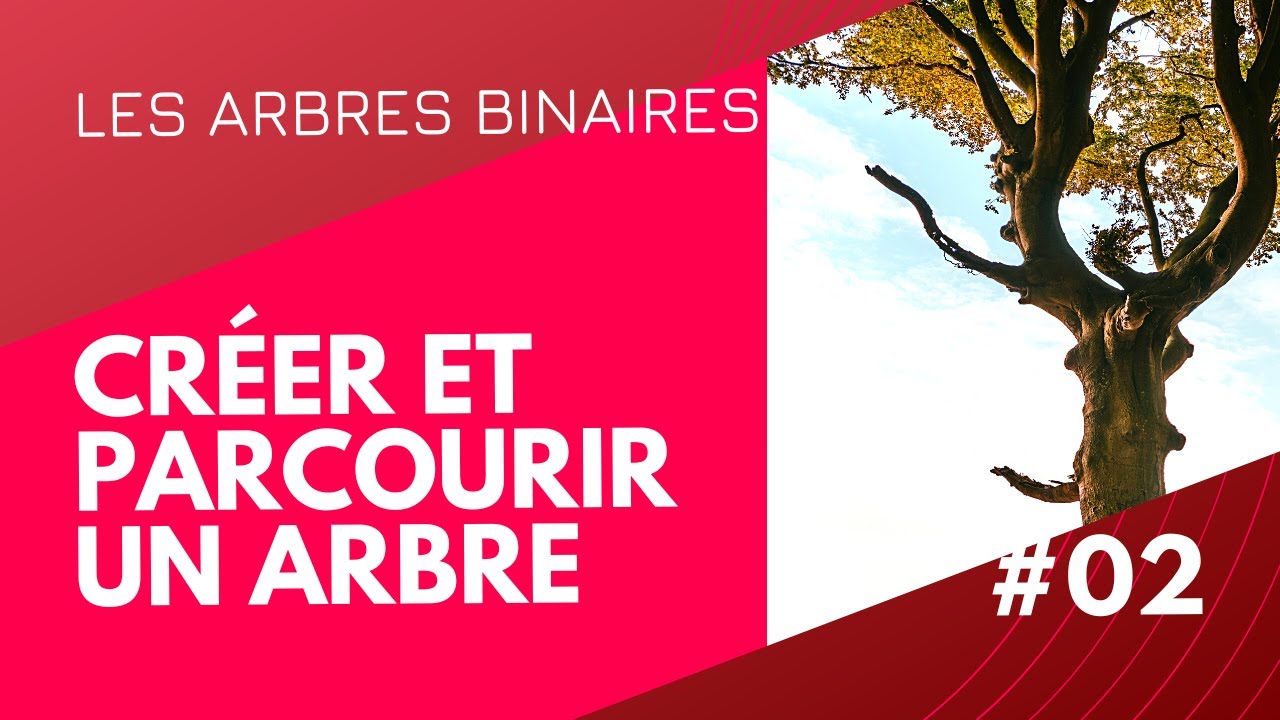 #02 - Création Manuelle & Parcours d'un arbre binaire
