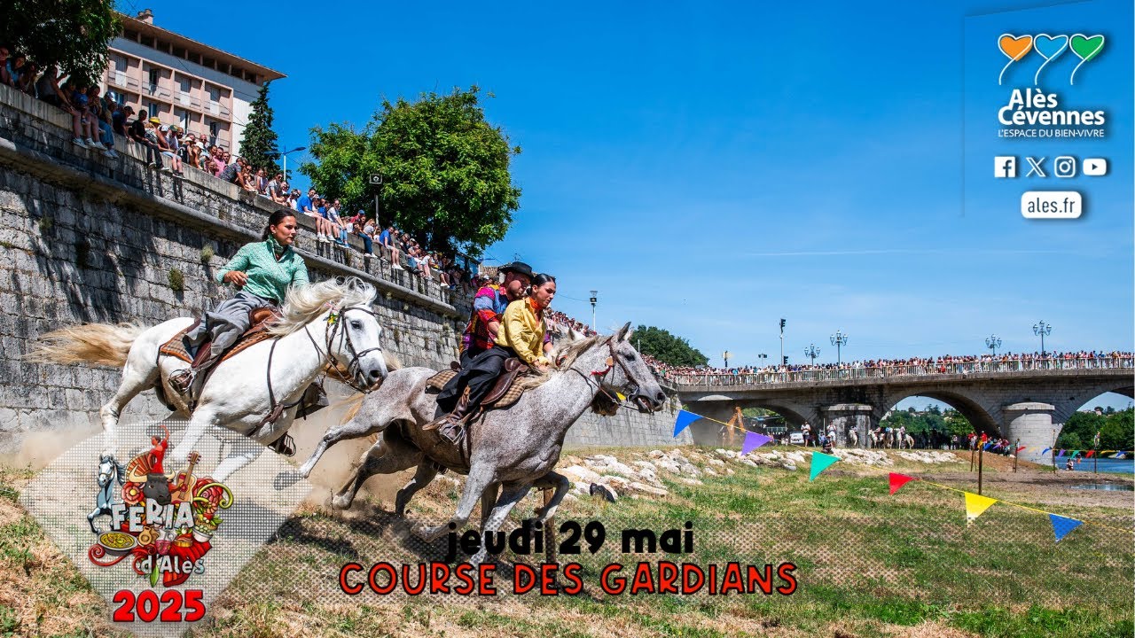 [FERIA D'ALÈS 2025] : La manade du Gardon remporte la Course des gardians