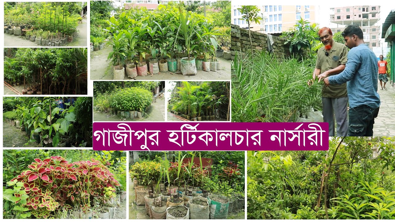 গাজীপুর হর্টিকালচার নার্সারী , গাজীপুর চৌরাস্তা জয়দেবপুর রোড়