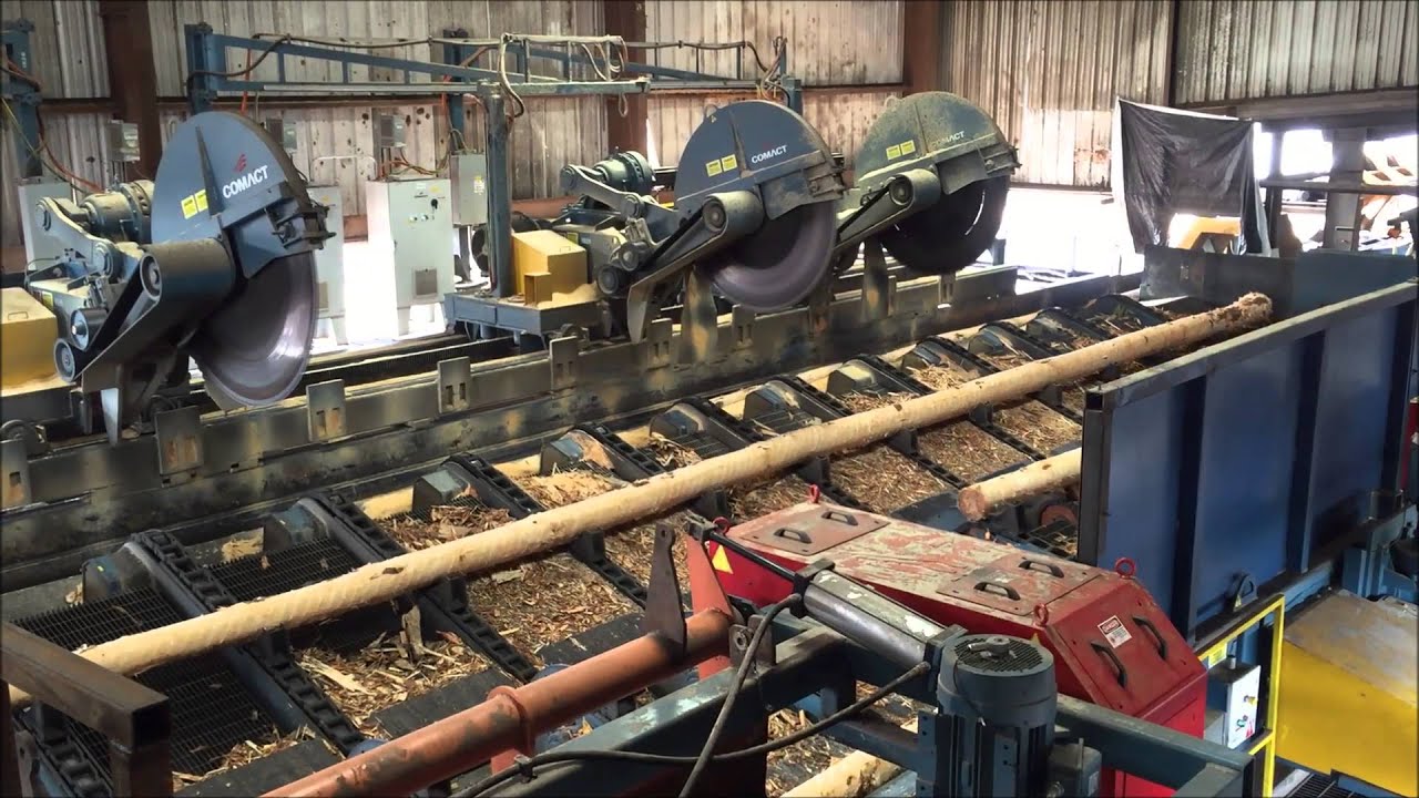 Comact Optimized Log Bucking System