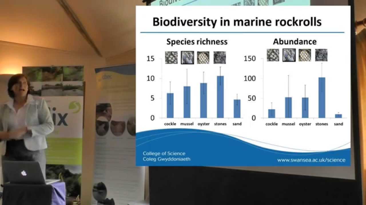 Dr Ruth Callaway , SEACAMS at Swansea University