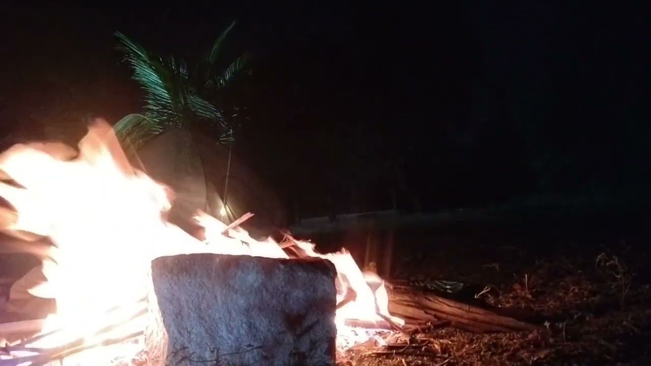 Firecamp Therapy 🔥 | Healing the Mind Through Nature