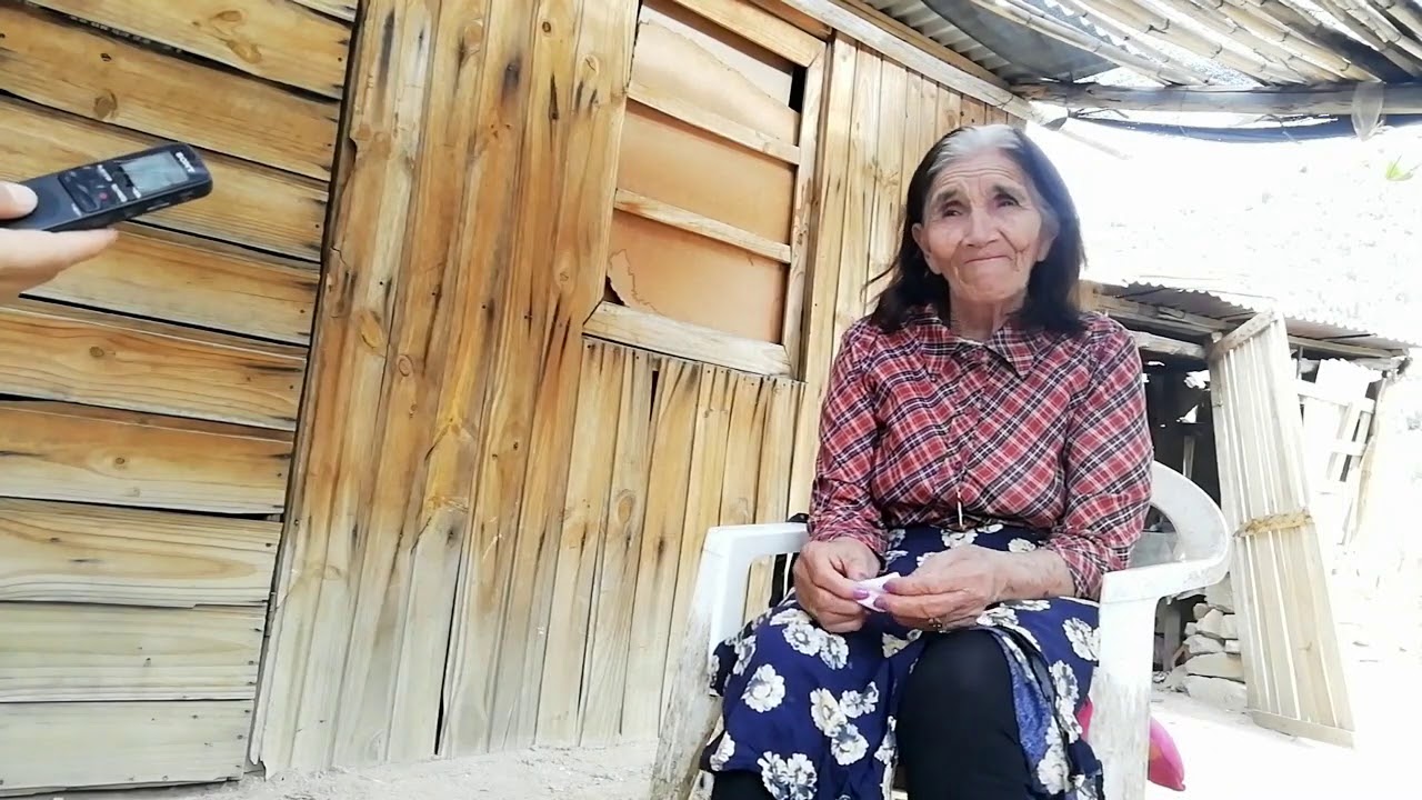 Dionila del Carmen Borquez Barraza