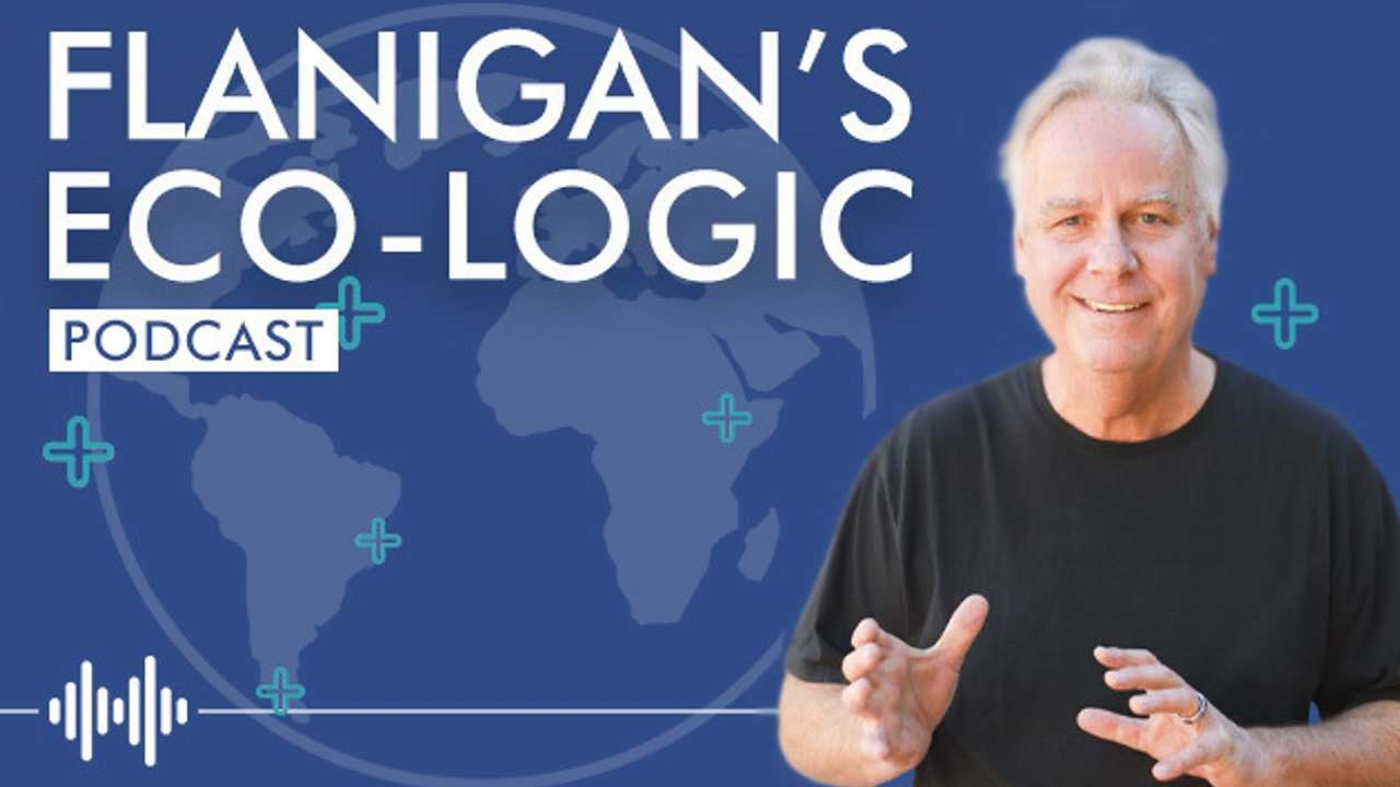 Bill Wyatt on Biochar