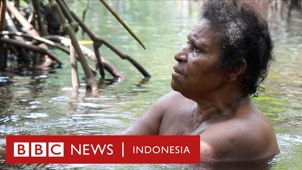 'Surga kecil yang dirusak manusia’: Hutan Perempuan di Papua - BBC News Indonesia