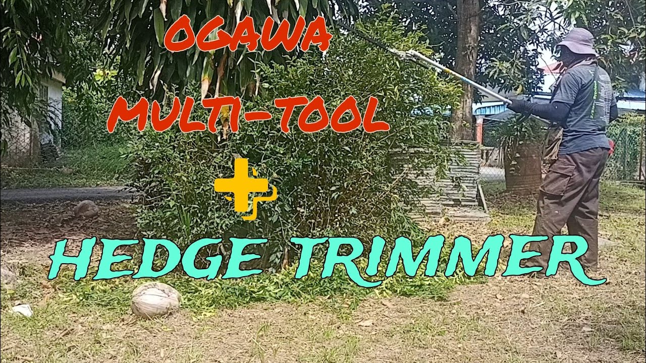 trim pokok guna ogawa multi-tool + hedge trimmer..
