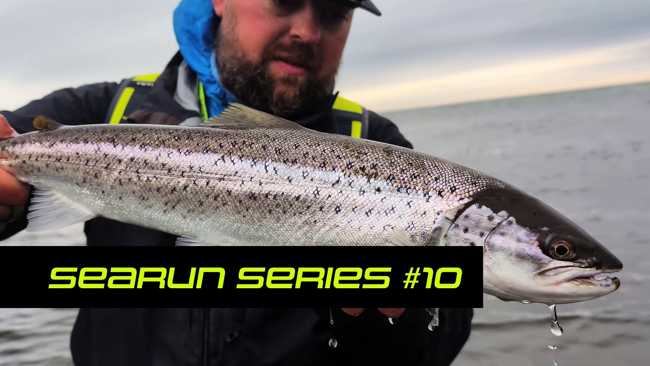 SEARUN Series - Episode 10 - To be or not to be