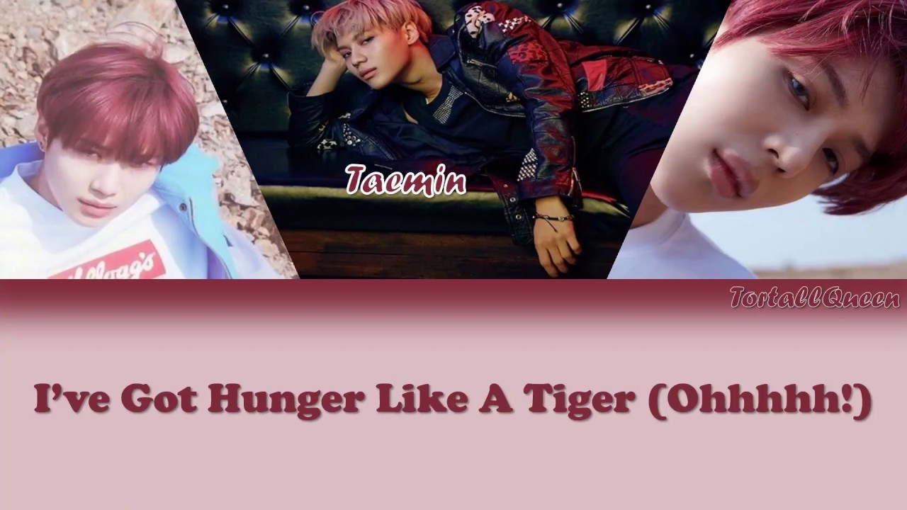 TAEMIN (태민) - Tiger (Color Coded Japanese/Rom/Eng lyrics)