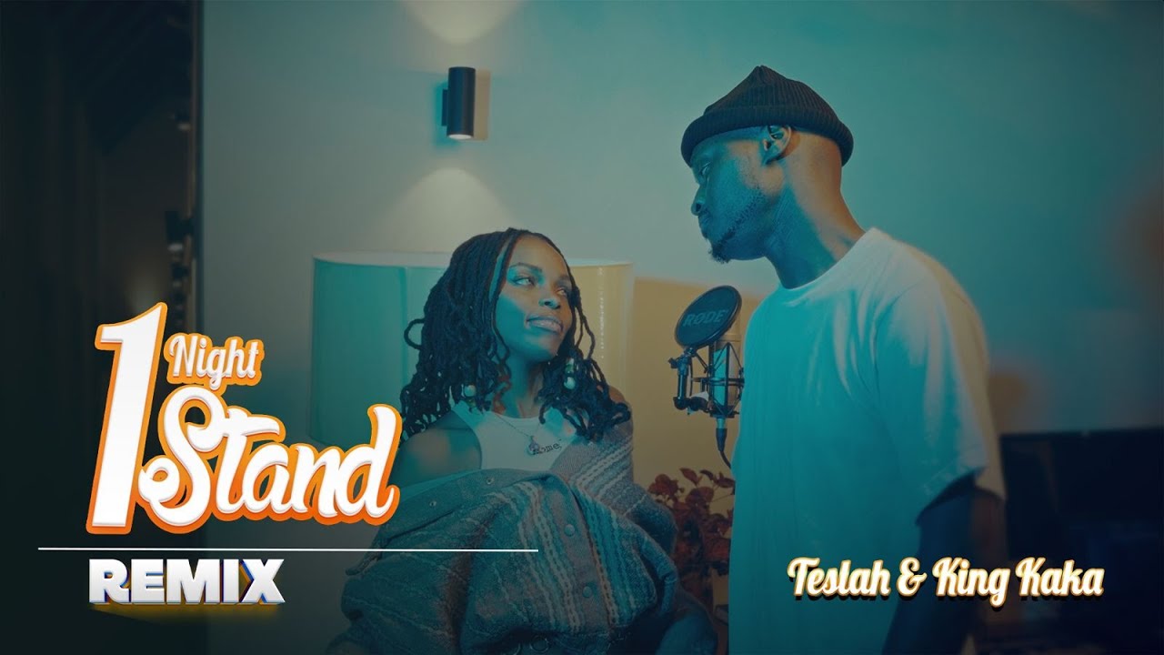 Teslah & King Kaka - 1 Nyt Stand (Remix)