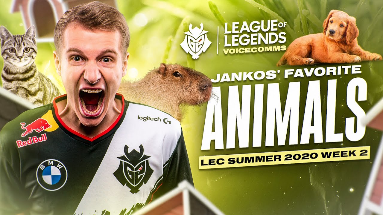 Jankos' Favorite Animals | LEC Summer 2020 Week 2 Voicecomms