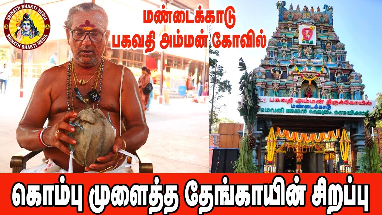 மண்டைக்காடு பகவதி அம்மன் கோவில் | கொம்பு முளைத்த தேங்காய்