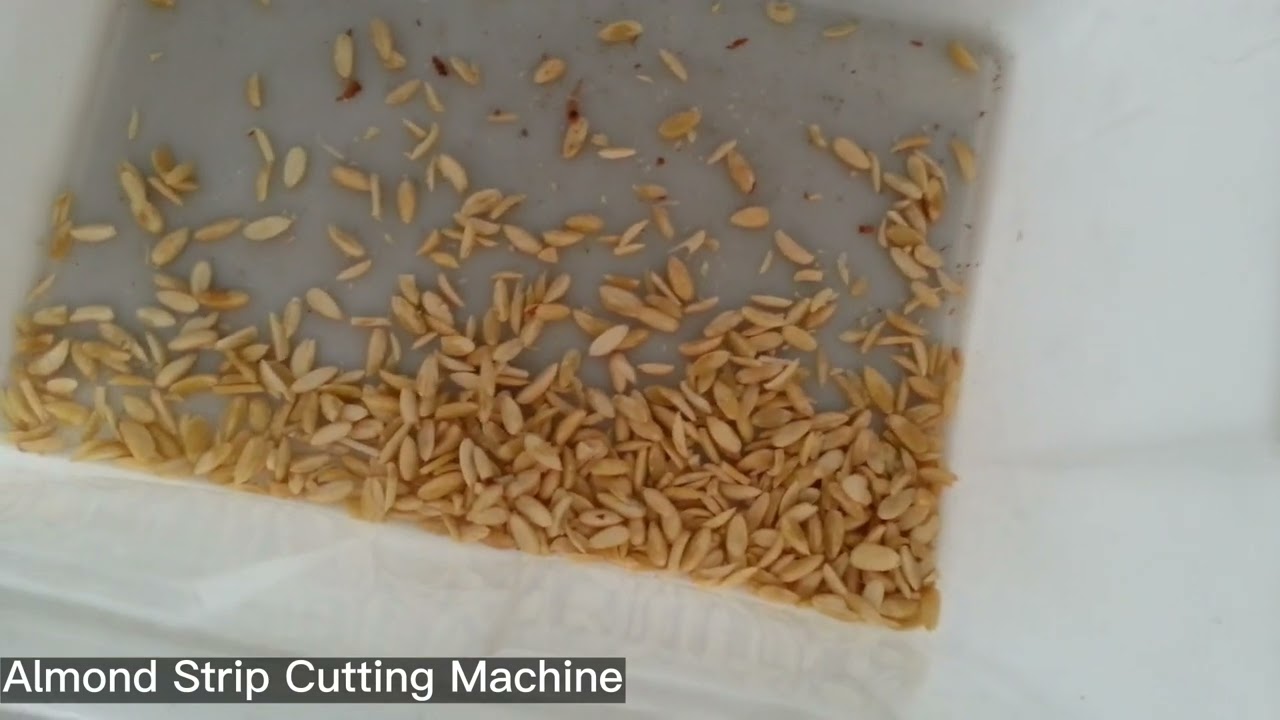 Almond Strip Cutting Machine