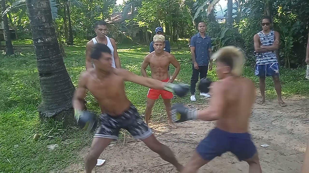 boy UNGAS Vs higante