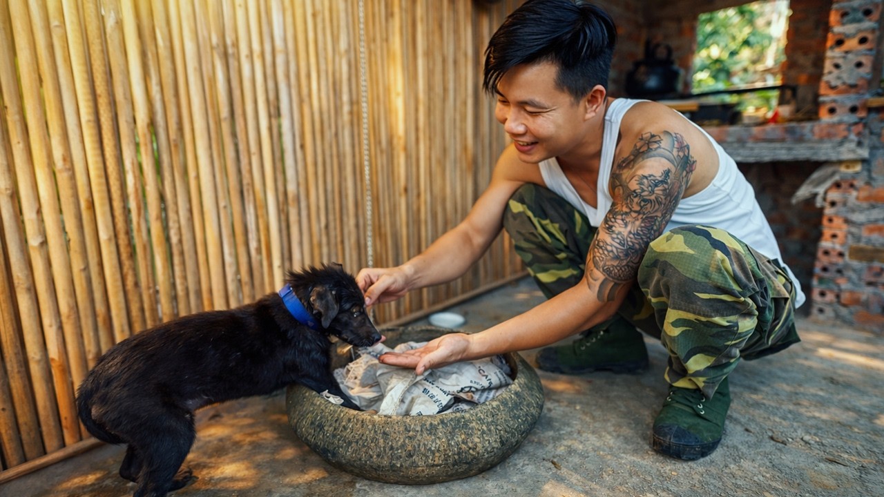 CEO Leaves the city in the forest:  harvesting sapodilla fruit, Raising a dog and lives in nature!