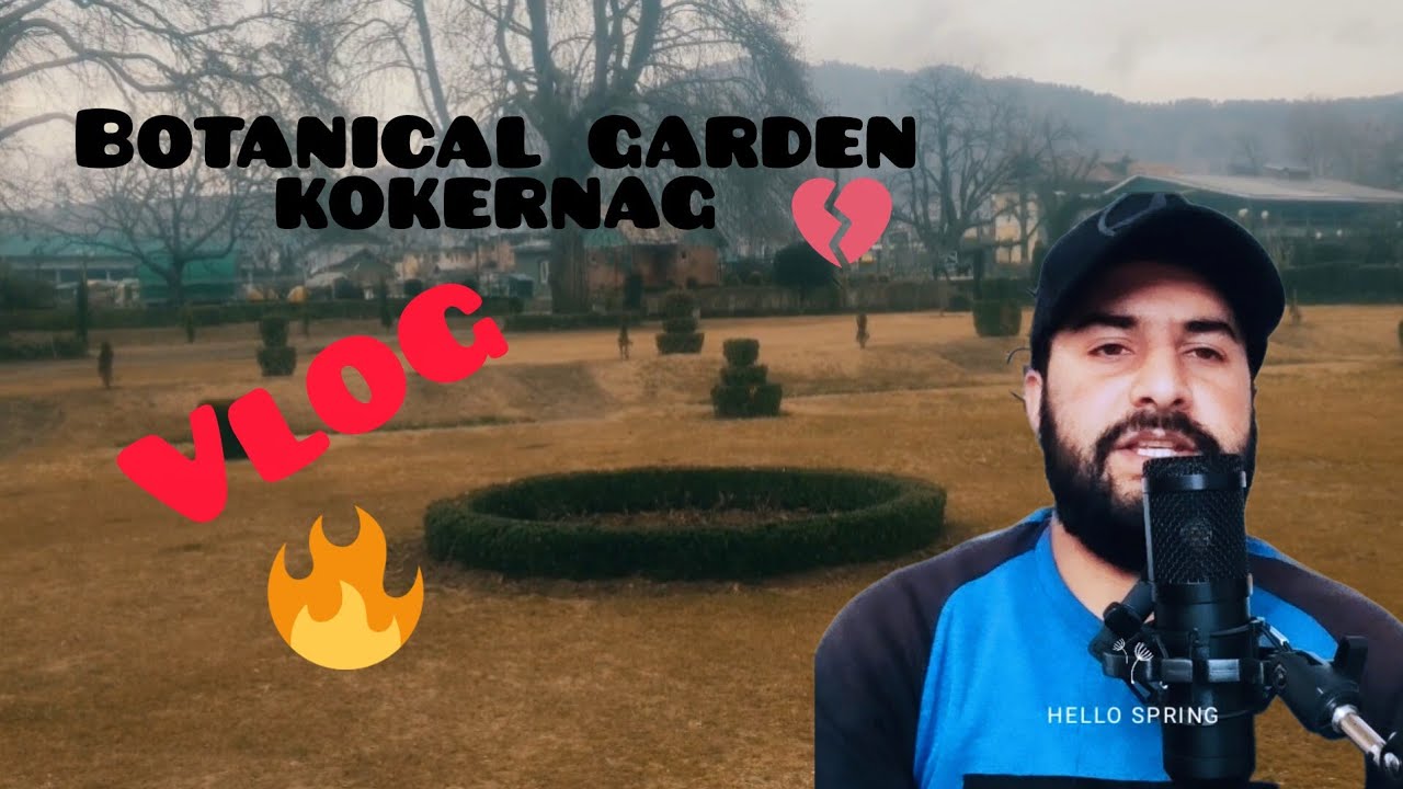 Kokernag Park in winter Season|Botanical garden kokernag.🥰