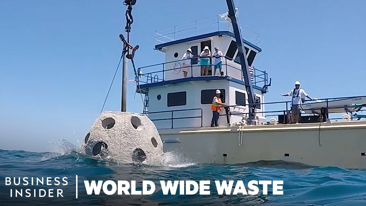 How Reefs Made With Human Remains Restore Florida Coast Line | World Wide Waste