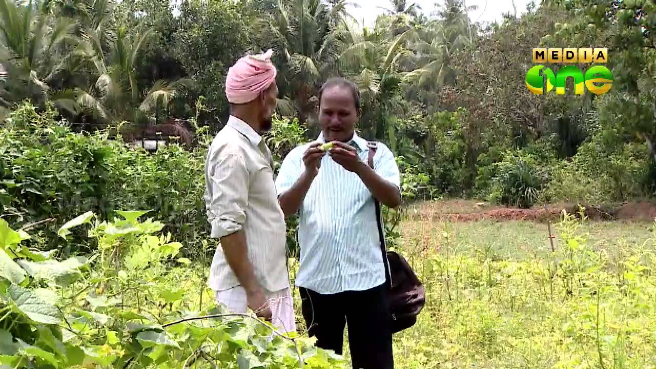 Njanga Ninga| Kasargod Manjwesharam (Episode 5)