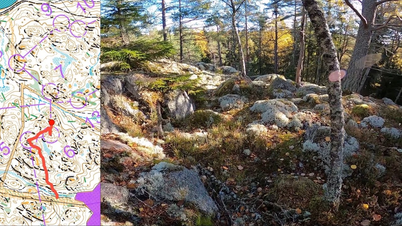 Headcam Orienteering: Flemingsberg, Sweden