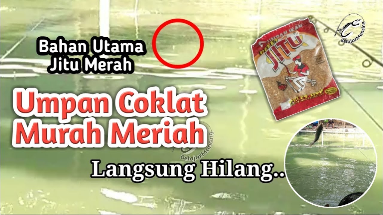 Umpan Ikan Mas Murah langsung Test, gak lama langsung Nyuut...|| Mancing Harian
