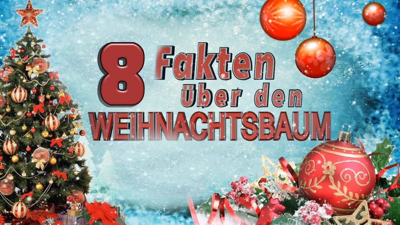 8 FAKTEN &uuml;ber den WEIHNACHTSBAUM - TIPPS | dicoTV