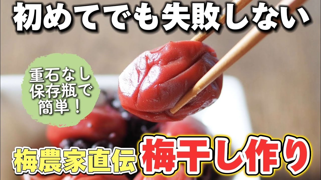 【保存版】梅干しの漬け方、干し方、保存方法を分かりやすく解説！初心者必見！失敗しないコツや、熟成梅の効能もご説明します。