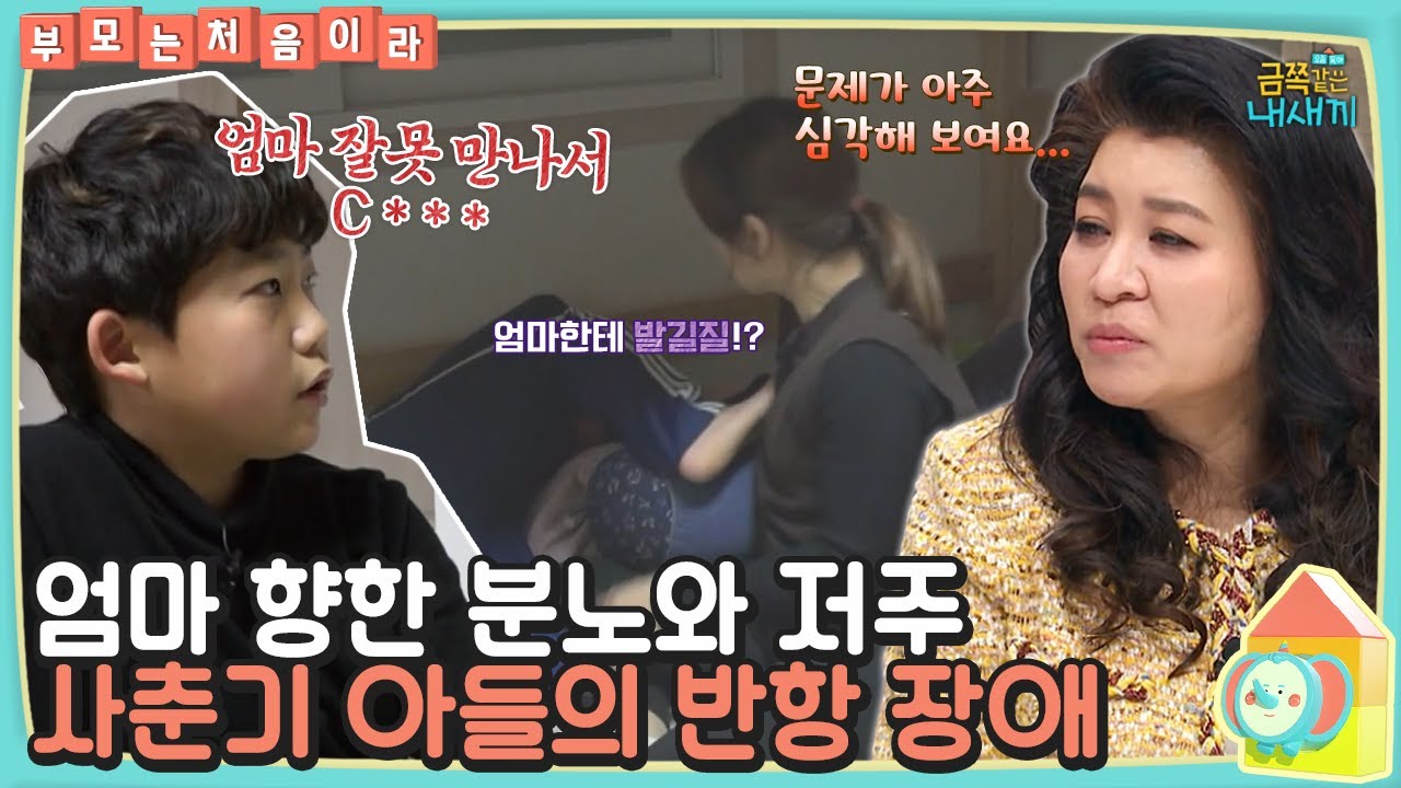 “씨X 이름만 엄마지🤬” 엄마 향해 저주 퍼붓는 금쪽이… 부모의 대화법이 문제였다!? [#부모는처음이라] | 금쪽같은 내새끼 82 회