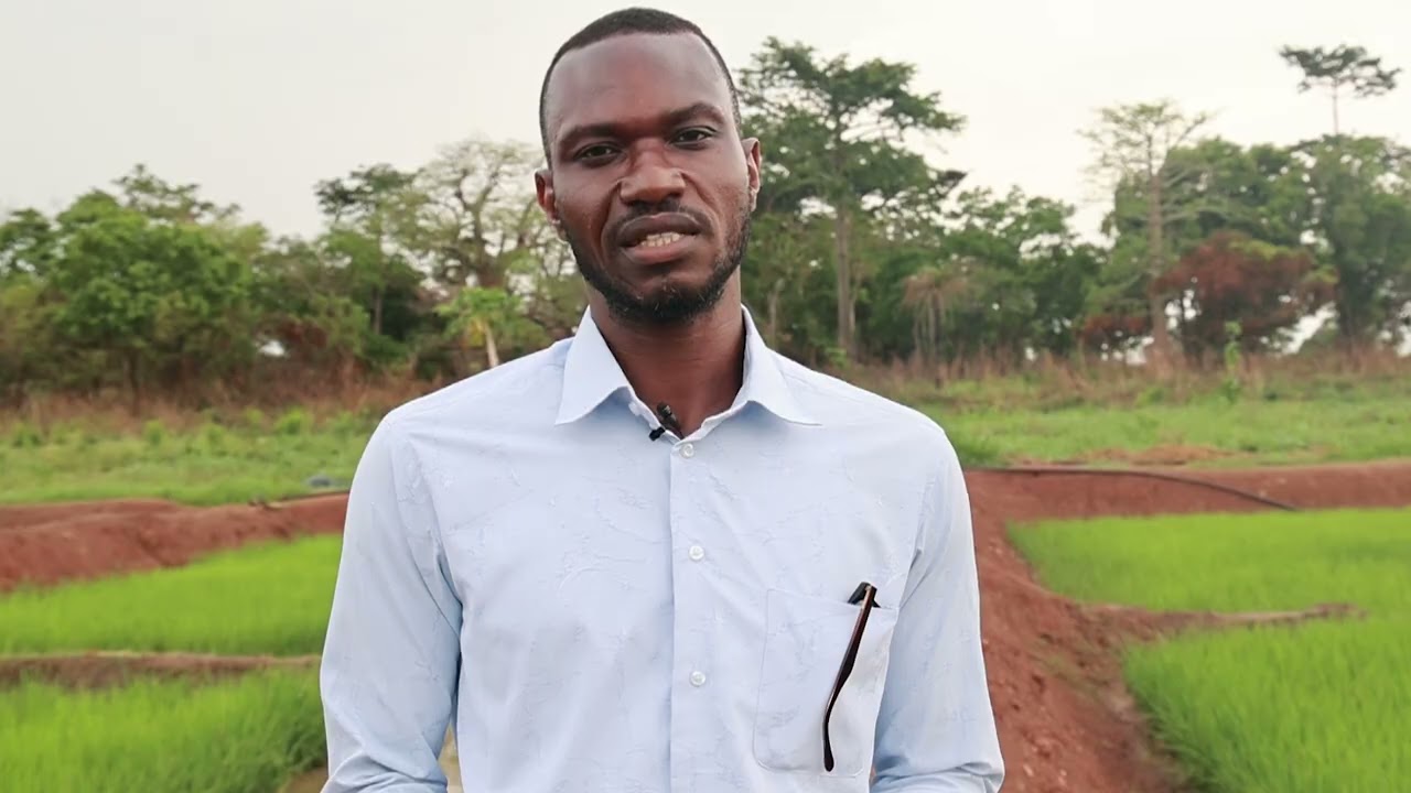 Integrated Rice-Fish Farming | HD4A Innovations