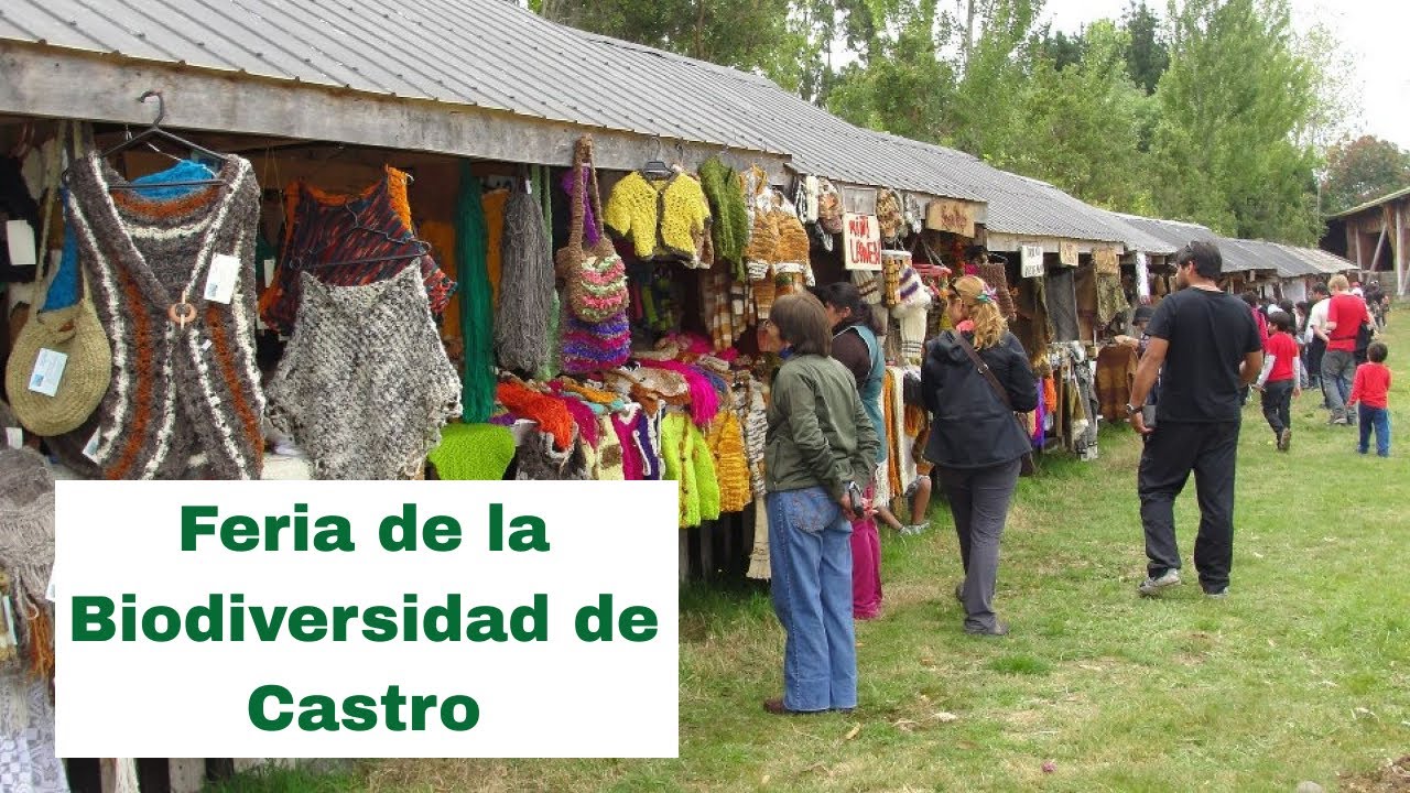 Feria de la Biodiversidad de Castro Chiloe 2023