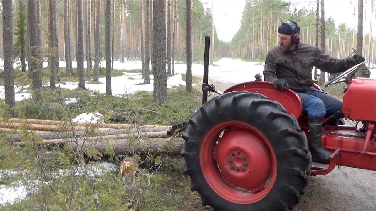 Aitatolpat juontopankolla metsästä