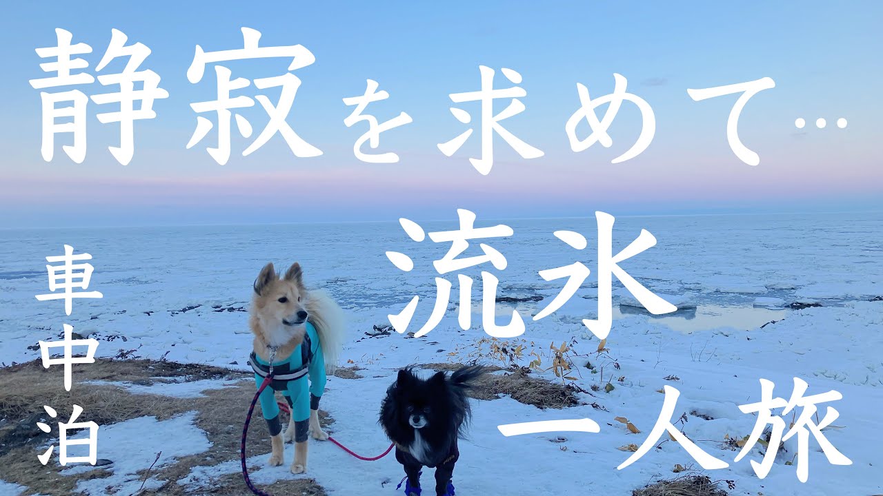 【冬の北海道、犬連れソロ車中泊旅】ついに紋別到着！流氷びっしり日の出岬で女一人、犬と車中泊〜『流氷7泊8日キャンピングカー旅③』