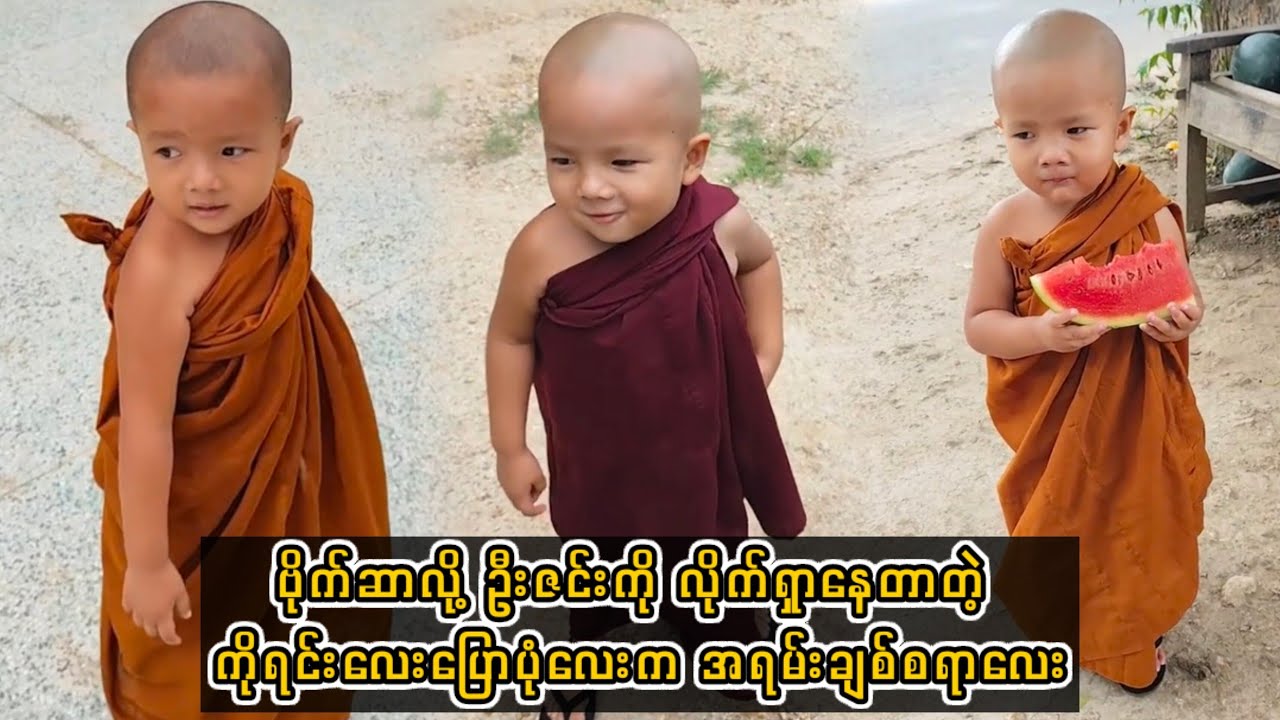 ဗိုက်ဆာလို့ ဦးဇင်းကို လိုက်ရှာနေတာတဲ့ ကိုရင်းလေးပြောပုံလေးက အရမ်းချစ်စရာလေး#burmesenow 