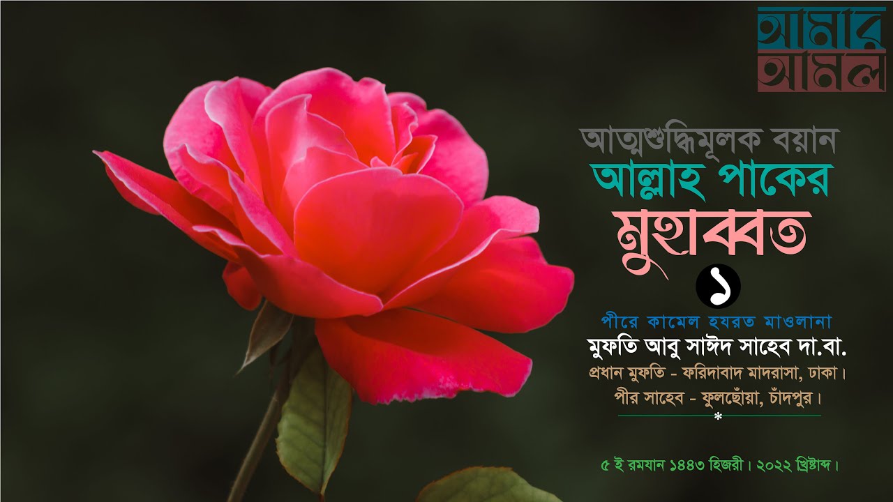 আল্লাহ পাকের মুহাব্বত ০১ | আল্লামা মুফতি আবু সাঈদ সাহেব দা.বা. এর বয়ান | Amar Amol