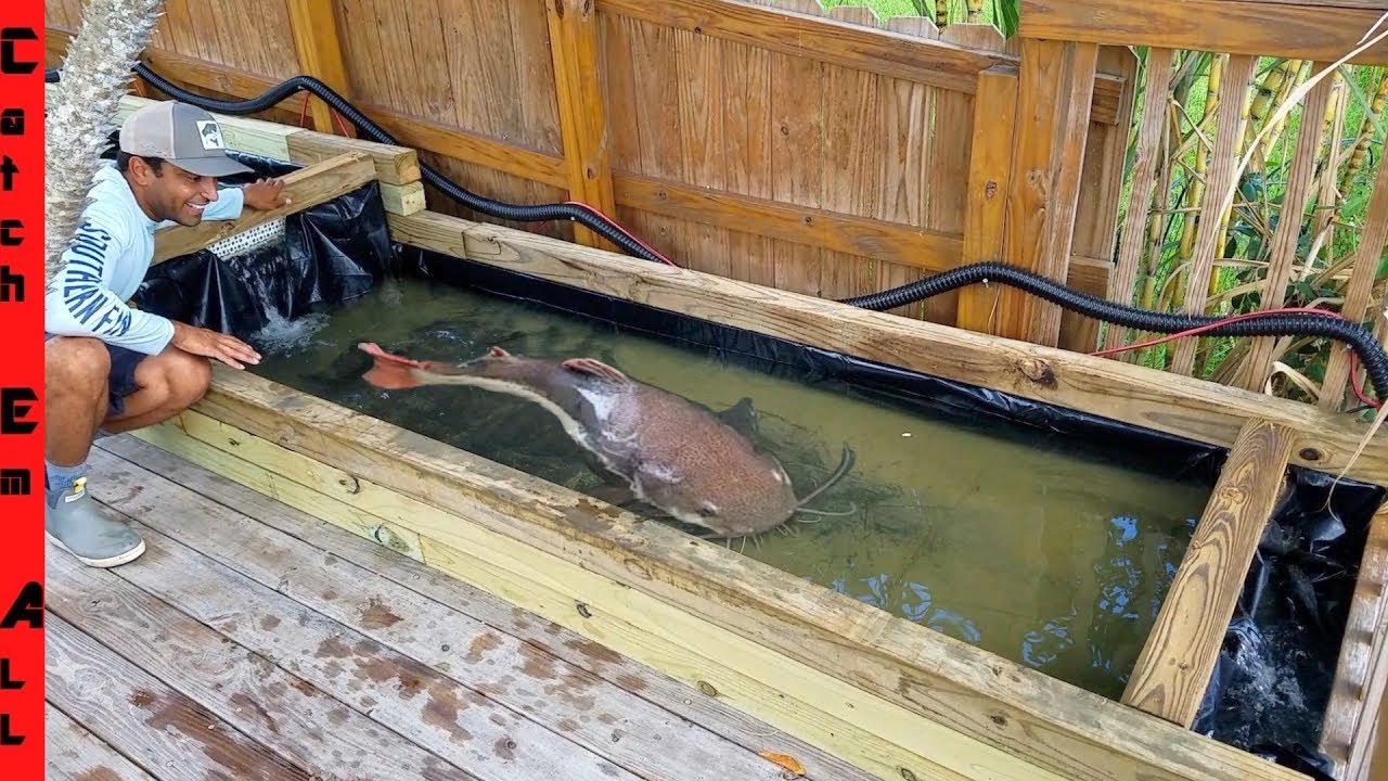 BUILDING EXOTIC MULTI-LEVEL FISH POND! **Catfish Level Shallow Water**