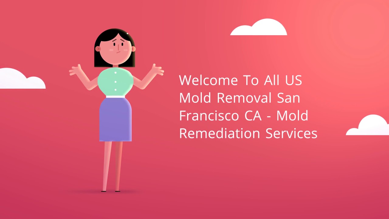 Mold Removal Services in San Francisco, CA