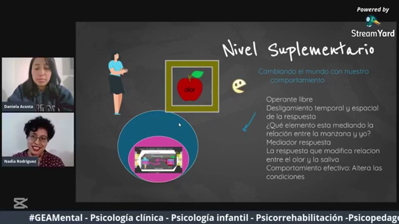 Interconductismo de Ribes | Teor&iacute;a de la conducta