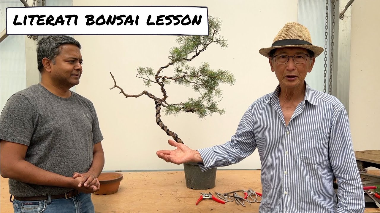 Literati Bonsai Lesson
