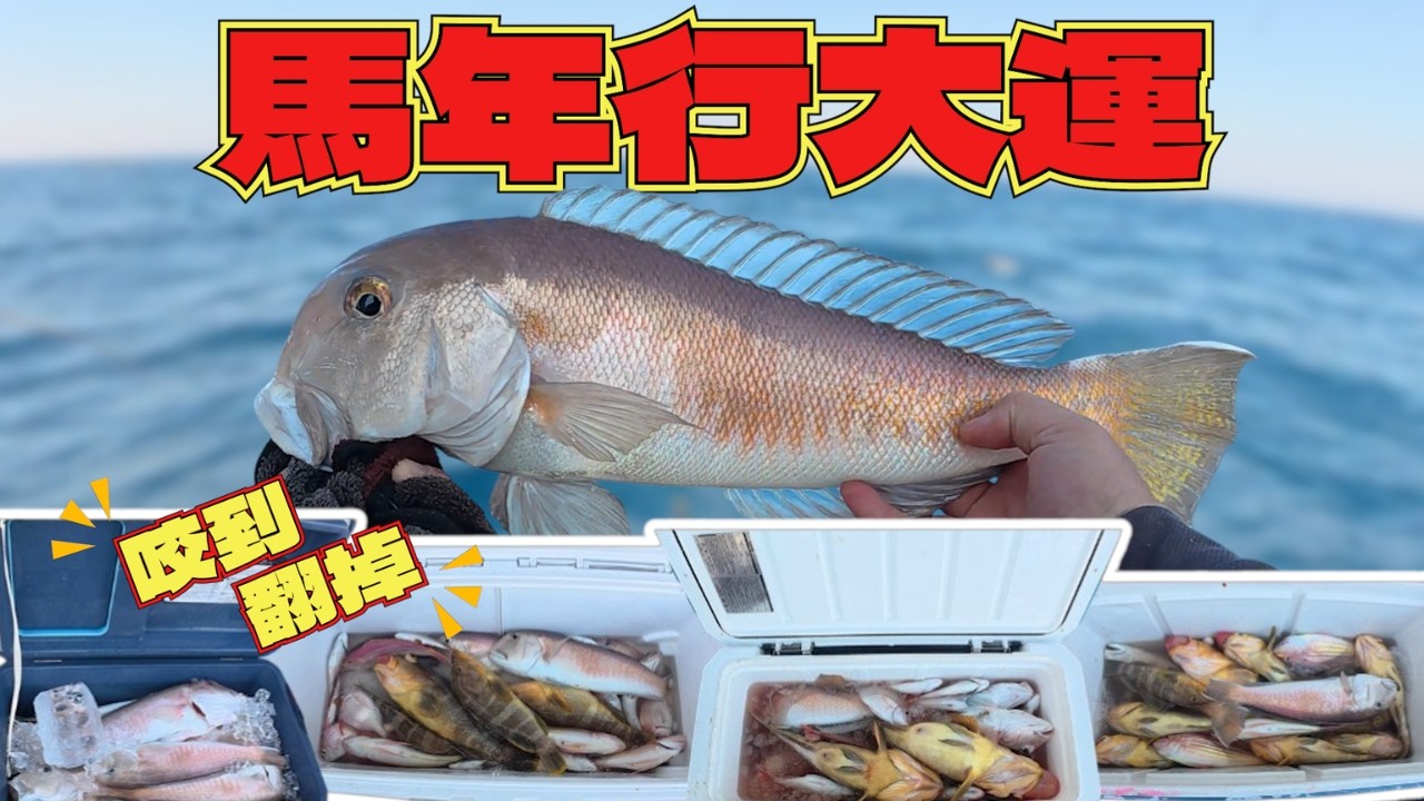 ◆◆釣魚記錄◆◆ 百米馬頭｜馬年行大運｜新郵票!! #黃群RY