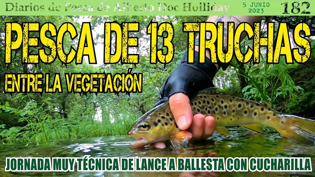 PESCA DE 13 TRUCHAS ENTRE LA VEGETACIÓN. Jornada muy técnica de lance a ballesta con cucharilla s/m